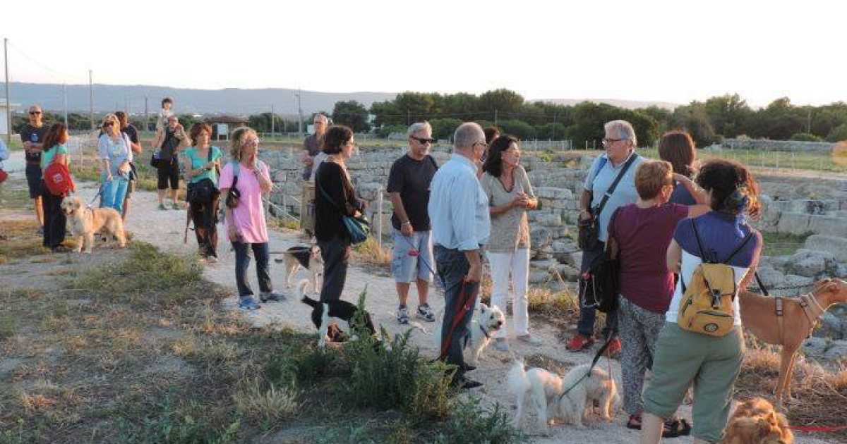 ''Insieme ovunque'': a Bari padroni che portano i cani al museo, ai concerti e a cinema